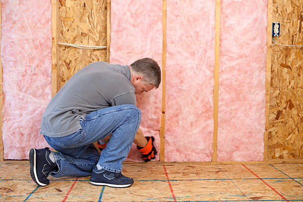Best Eco-Friendly Insulation in Brittany Farms The Highlands, PA